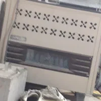 بخاری سالم