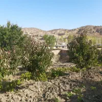 زمین چهارباغ