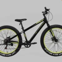 دوچرخه ساحلی