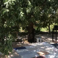 فروش-و-معاوضه