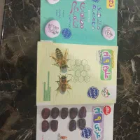 کتاب کار علوم عربی مطالعات