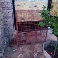 قفس حیوانات