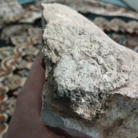 سنگ جاساز الماس پلمپ شده|جواهرات|تهران, دکتر هوشیار|دیوار