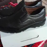 کفش مردانه|کیف، کفش، کمربند|شاهین‌شهر, خبرنگار|دیوار