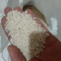 برنج طارم عطری به شرط|خوردنی و آشامیدنی|یزد, |دیوار