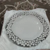بشقاب میوه خوری مجلسی جنس DTS/dts