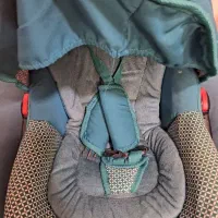 کریر دلیجان|کالسکه و لوازم جانبی|ری, عباسآباد|دیوار