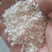 برنج هاشمی اصل دره رود اعلا|خوردنی و آشامیدنی|گرمی, |دیوار