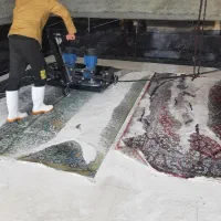 مبل شویی تخصصی«هلن» با مواد نانو،قالی شویی|خدمات نظافت|اندیشه, اندیشه فاز ۳|دیوار