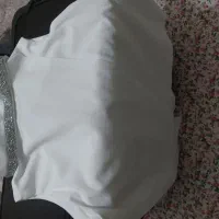 تاپ نو|لباس|همدان, |دیوار