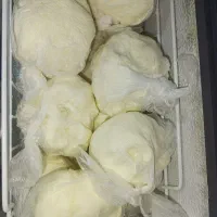 کره گوسفندی