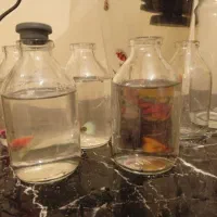 تلاریوم ویال|ماهی|تهران, گلچین|دیوار