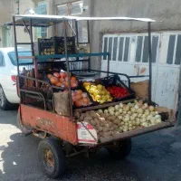 سه چرخ روسی|موتورسیکلت|سبزوار, هفت تیر|دیوار