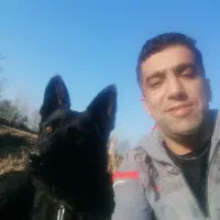 واگذاری سگ ژرمنشولاینبلاک۲ساله،تعلیم دیده|سگ|رحیمآباد, |دیوار