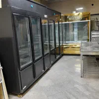 یخچال قصابی  لاشه خور دومتری  موتور فرانسه