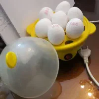 تخم مرغ پز برقی ظرفیت ۷تا