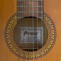 گیتار کلاسیک Prince C-745 کاملاً سالم|گیتار، بیس، امپلیفایر|رشت, گلسار|دیوار