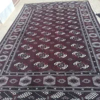 قالی ترکمنی(عرض۲/۶۰متر طول۴متر)|فرش|آق قلا, |دیوار