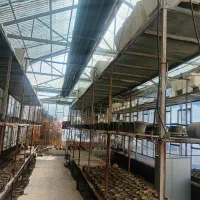 گلخانه پیشرفته|فروش دفتر صنعتی، کشاورزی، تجاری|فریمان, |دیوار