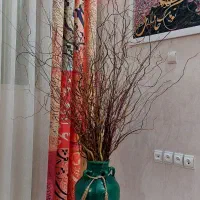 بید چینی درختچه بیدفر،گل آپارتمانی گل خشک