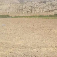 فروش زمین کشاورزی