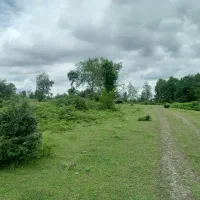 زمین مرغداری|فروش زمین و ملک کلنگی|سیاهکل, |دیوار