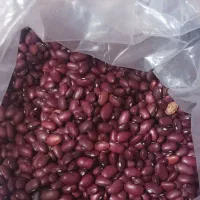 لوبیا قرمز