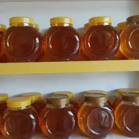 عسل کندو|عمدهفروشی|شیراز, زرهی|دیوار