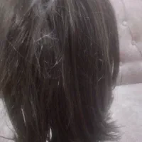 کلاه گیس  خارجی|آرایشی، بهداشتی، درمانی|بروجرد, |دیوار
