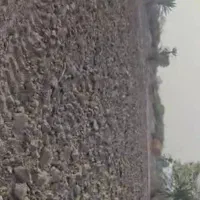 اجاره زمین کشاورزی آماده به کار