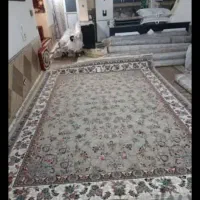 فرش صدرای دودی|فرش|شیراز, میانرود|دیوار