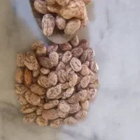 لوبیا چیتی ولوبیا قرمز بومی