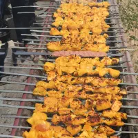 همراه با خانواده در تنها مجتمع جنگلی استان یزد