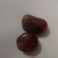 مهره سلیمانی