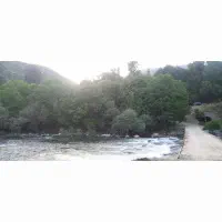 باغ خانوادگی