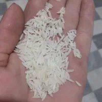 برنج درجه یک هاشمی|خوردنی و آشامیدنی|ساوه, |دیوار