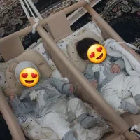 تاب وگهواره دوقلویی|کالسکه و لوازم جانبی|هشتگرد, گلسار|دیوار