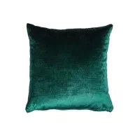 تشک وبالش|رختخواب، بالش، پتو|سیاهکل, |دیوار