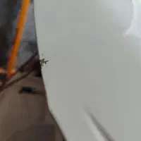 صافکاری و شاسی کشی بدون رنگ p.d.r استادمحمد|خدمات موتور و ماشین|ایلام, |دیوار