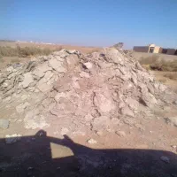 کود یا بار بوقلمون|خدمات باغبانی و درختکاری|سبزوار, قصبه غربی|دیوار