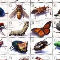 سمپاشی  منزل