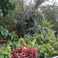 اقامتگاه بوم گردی سپیدان|اجارهٔ کوتاهمدت ویلا و باغ|سپیدان, |دیوار