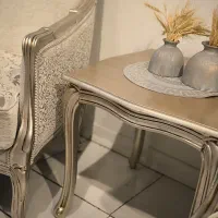 فروشنده ماهر مبلمان ابزاری استیل کلاسیک