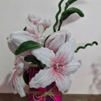باکس گل مخملی فقط ۴۰۰ هزار تومان