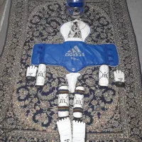 یک عدد هوگو تکواندو در حد نو