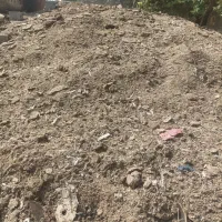 کود مرغی