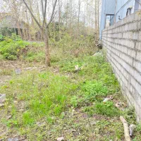 زمین-سند-دار-طالب-آباد