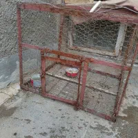 قفس پرنده