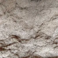 کاه|لوازم جانبی حیوانات|شیروان (خراسان), |دیوار