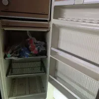 دو عدد یخچال و فریزر|یخچال و فریزر|مشهد, سرافرازان|دیوار